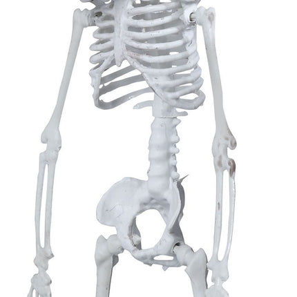 Decoración Colgante Halloween Esqueleto 40cm