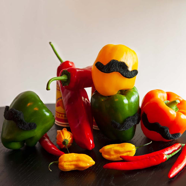 Set Fiesta Bigote Mexicano 5 piezas