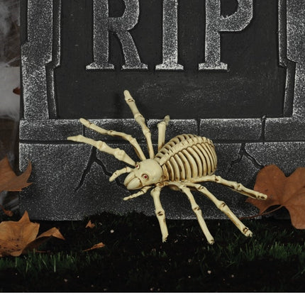 Halloween Esqueleto Araña 24cm