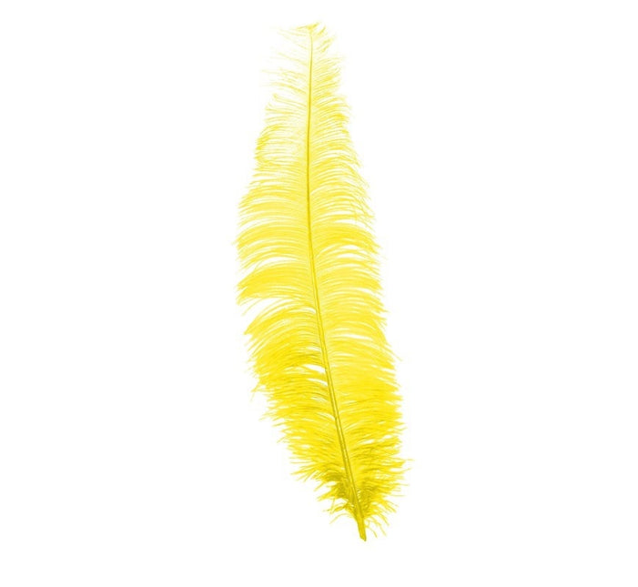 Plumas de avestruz amarillas 40cm 12uds.
