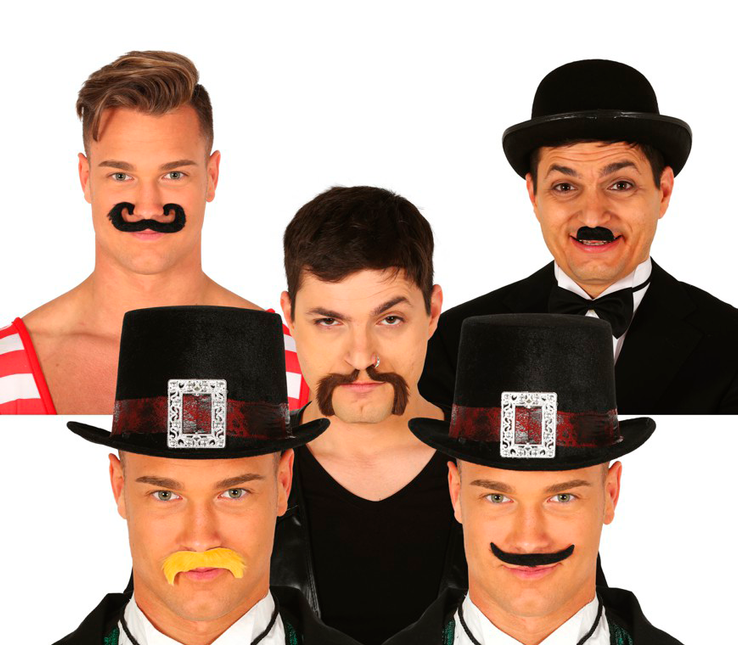 Juego de bigotes 6 piezas