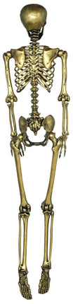 Halloween Goud Skelet 90cm van Fiestas Guirca koop je bij Partywinkel
