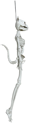Halloween Skelet Kat 37cm van Fiestas Guirca koop je bij Partywinkel