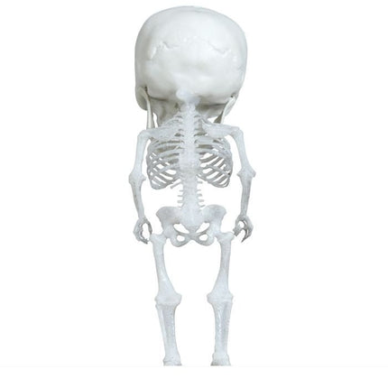 Halloween Skelet 15cm van Fiestas Guirca koop je bij Partywinkel