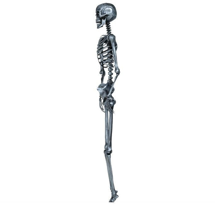 Halloween Hangdecoratie Zilver Skelet 1,6m van Fiestas Guirca koop je bij Partywinkel