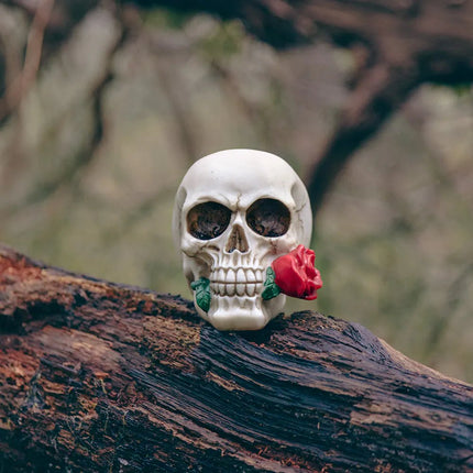 Halloween Schedel Casanova 13,5cm van Boland koop je bij Partywinkel