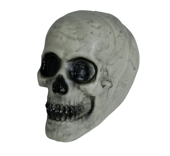 Halloween Schedel Wit 20cm van Fiestas Guirca koop je bij Partywinkel
