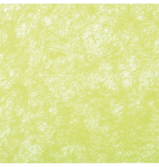 Lime Groene Lint 10m van CHAKS koop je bij Partywinkel