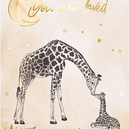 Collection image for: Babyshower Voorspellingskaartjes