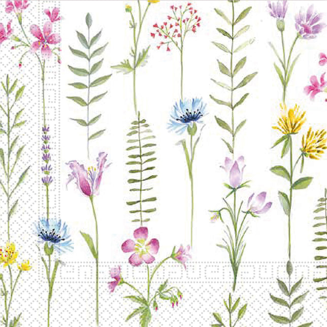 Servilletas De Papel De 3 Capas 33X33Cm/Everyday Designs Servilletas De Papel De Tres Capas 33X33Cm Botanical 20St