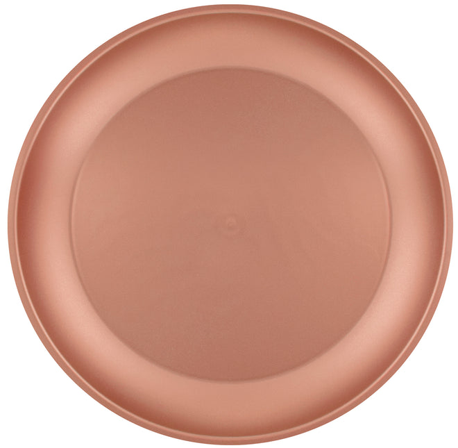 Placa de oro rosa 21cm