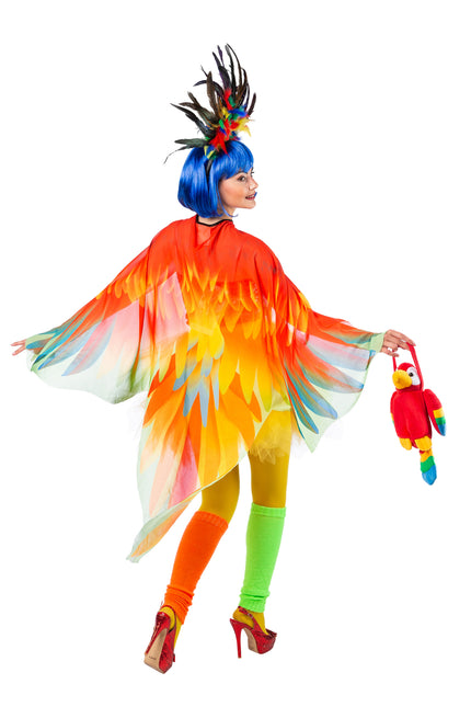 Capa de loro de color