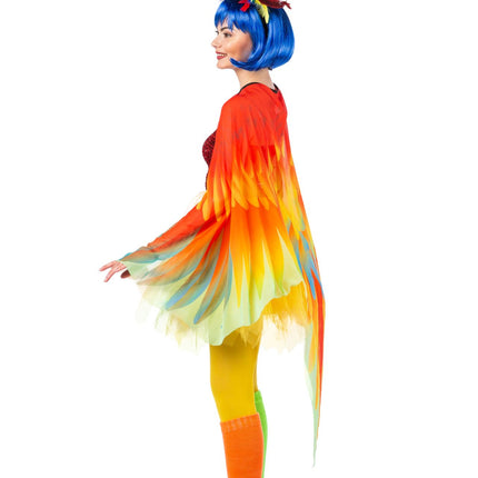 Capa de loro de color