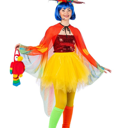 Capa de loro de color