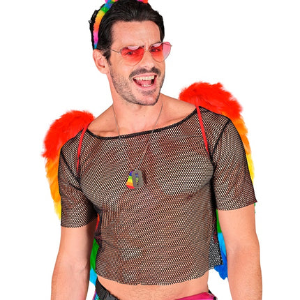 ALAS DE PLUMA ARCO IRIS PLEGABLES 50 X 50 CM