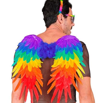 ALAS DE PLUMA ARCO IRIS PLEGABLES 50 X 50 CM