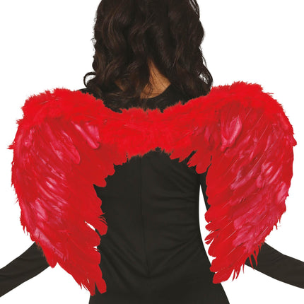 Plumas Alas Rojas 60x45cm