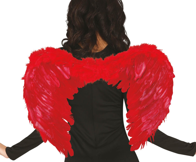 Plumas Alas Rojas 60x45cm