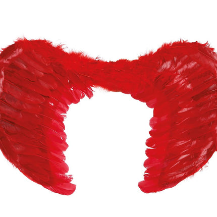 Plumas Alas Rojas 60x45cm