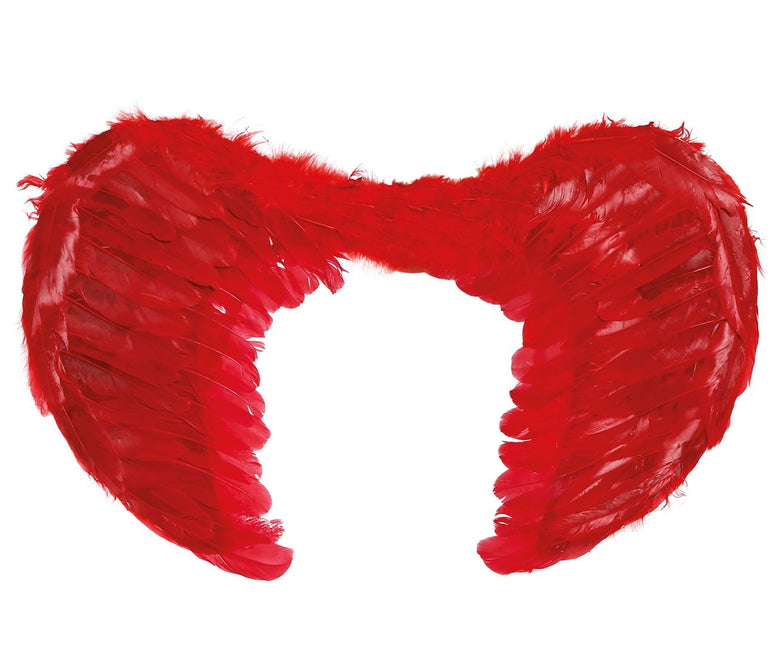Plumas Alas Rojas 60x45cm