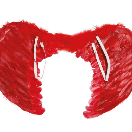 Plumas Alas Rojas 60x45cm