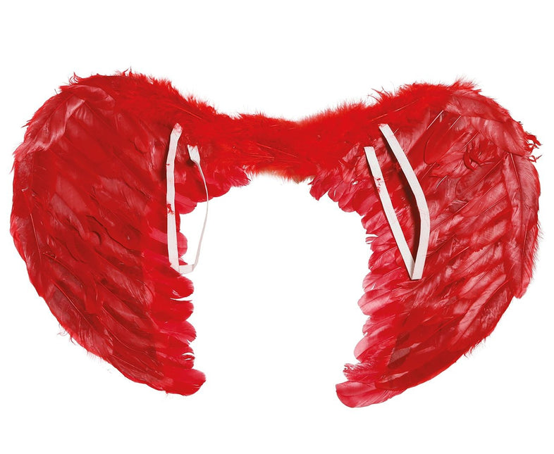 Plumas Alas Rojas 60x45cm