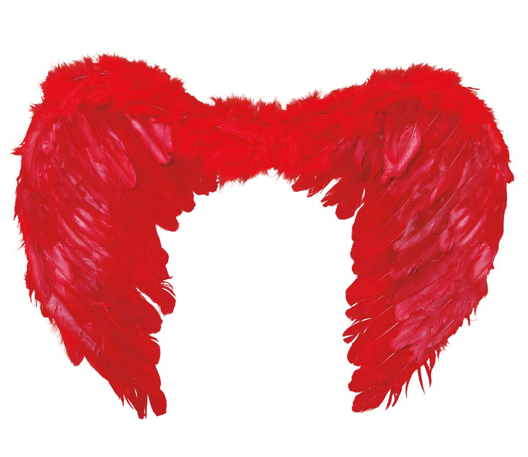 Plumas Alas Rojas 60x45cm