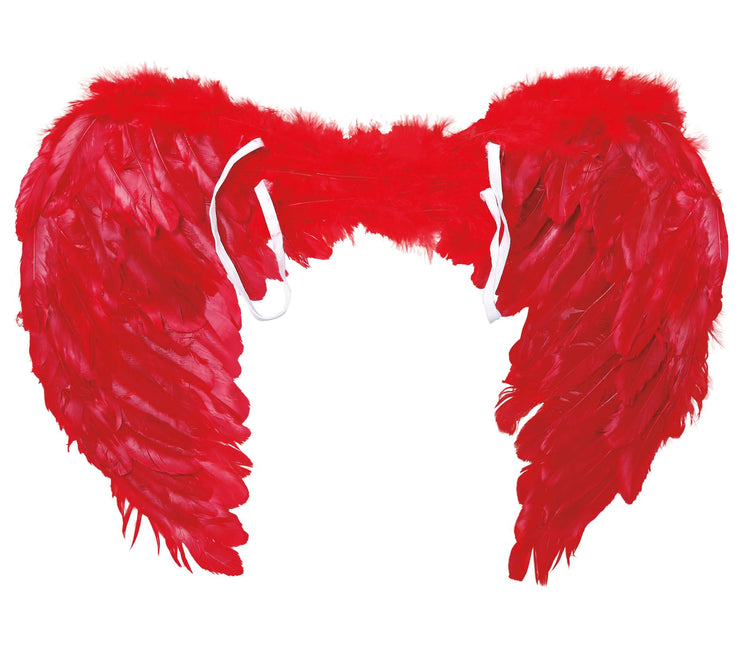 Plumas Alas Rojas 60x45cm