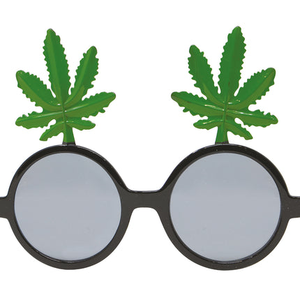 Hierba de gafas