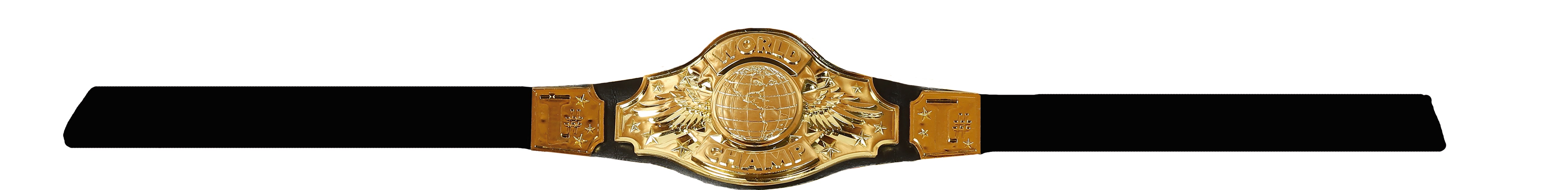 Cinturón Campeón del Mundo 1,15m
