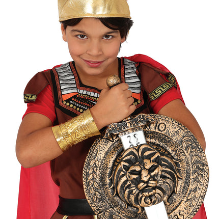 Escudo Infantil 29Cm Y Espada 48cm