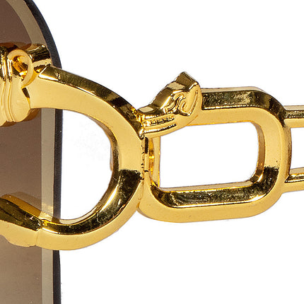 Gafas mal con pantera