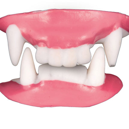 Halloween Dientes falsos Vampiro