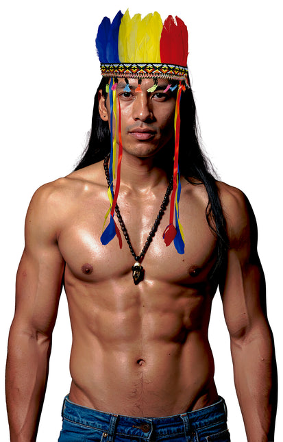 Penacho de plumas multicolor