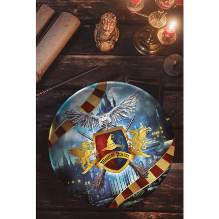Tazón Harry Potter 27cm