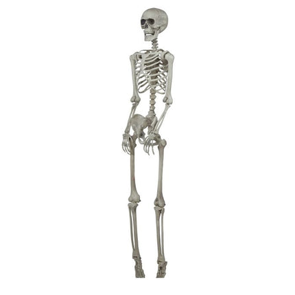 Esqueleto de Halloween 1,6 m
