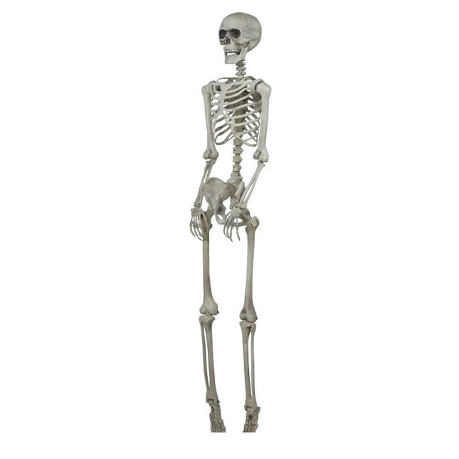 Esqueleto de Halloween 1,6 m