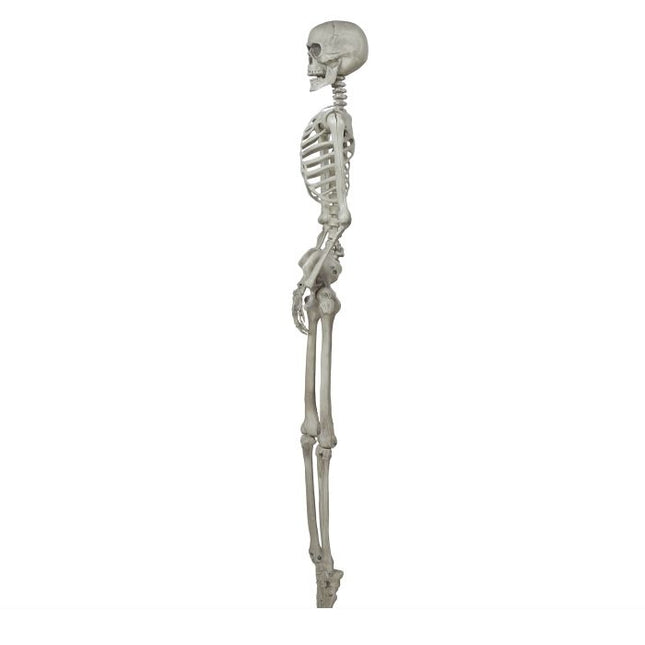 Esqueleto de Halloween 1,6 m