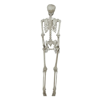 Esqueleto de Halloween 1,6 m