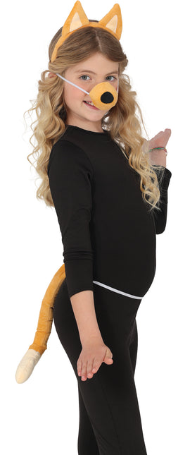 Conjunto de disfraz para perro Marrón 3 piezas