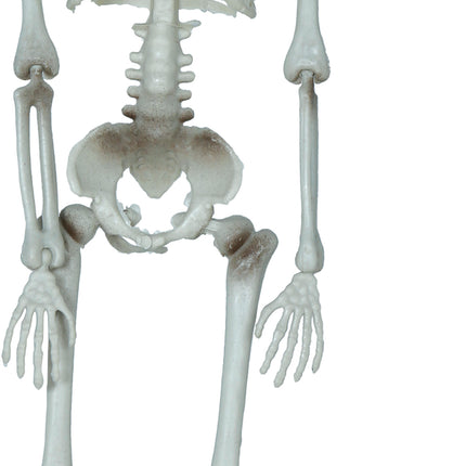 Halloween Decoración Colgante Esqueleto Con Hacha 40cm