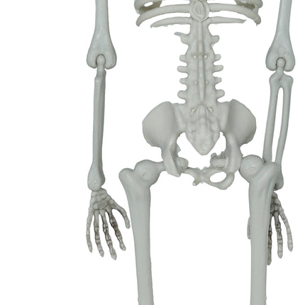 Halloween Decoración Colgante Esqueleto Con Hacha 40cm