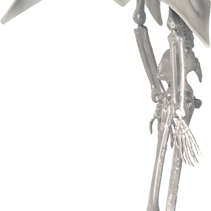 Muñeca Halloween Esqueleto Vampiro 40cm