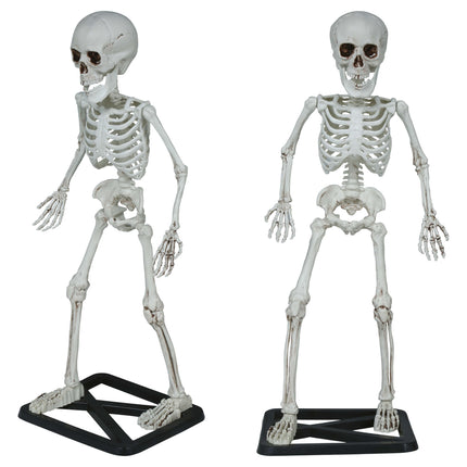Halloween Esqueleto 55cm