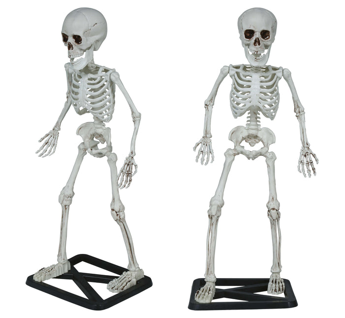 Halloween Esqueleto 55cm