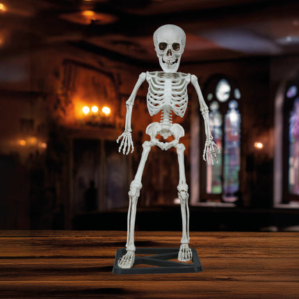 Halloween Esqueleto 55cm