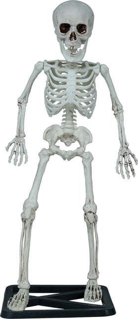 Halloween Esqueleto 55cm
