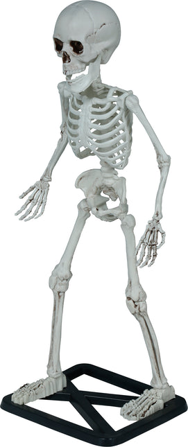 Halloween Esqueleto 55cm