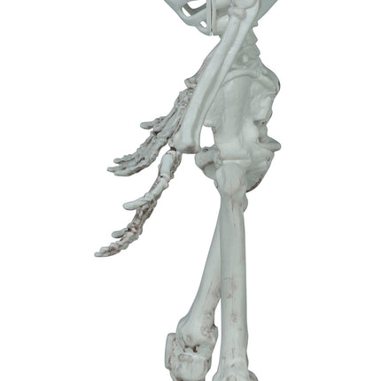 Halloween Esqueleto 55cm