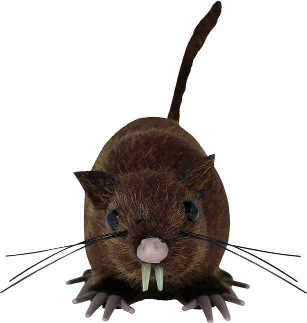 Rata Falsa Marrón 15cm
